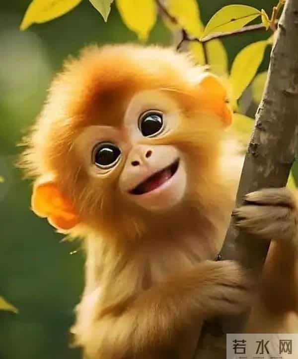 生肖猴注意！你这份“机灵巧劲”，后半辈子越用越顺