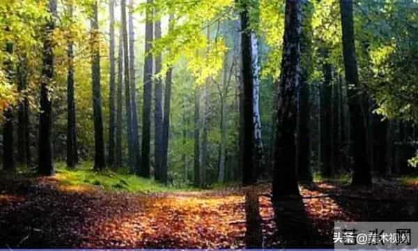 一个能将空气的轻盈与澄澈揉进色彩肌理凝于画布之上的大师